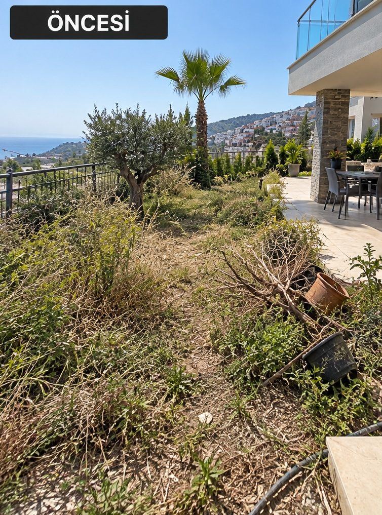 Villa Garden Maintenance & Tidy-Up in Kargicak - before